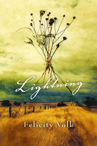 Alison Broinowski reviews &#039;Lighting&#039; by Felicity Volk