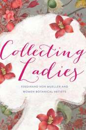 Simon Caterson reviews 'Collecting Ladies' by Penny Olsen