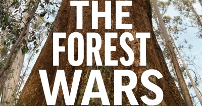 Dave Witty reviews ‘Forest Wars: The ugly truth about what’s happening in our tall forests’ by David Lindenmayer