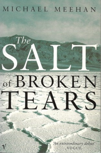 John McLaren reviews &#039;The Salt of Broken Tears&#039; by Michael Meehan