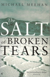 John McLaren reviews 'The Salt of Broken Tears' by Michael Meehan
