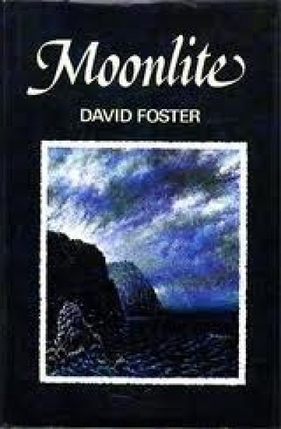 Veronica Brady reviews &#039;Moonlite&#039; by David Foster