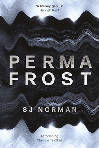 Paul Dalgarno reviews &#039;Permafrost&#039; by S.J. Norman