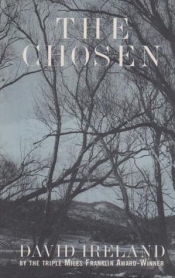 Kerryn Goldsworthy reviews 'The Chosen' by David Ireland