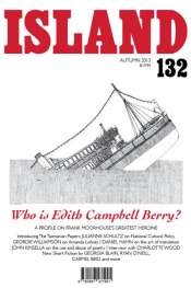 Island 132