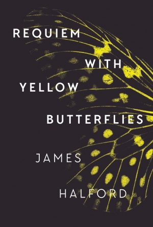 Alice Whitmore reviews &#039;Requiem with Yellow Butterflies&#039; by James Halford