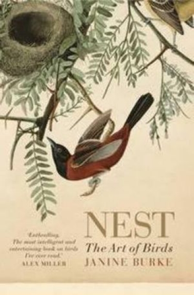 Gay Bilson reviews &#039;Nest: The Art of Birds&#039; by Janine Burke