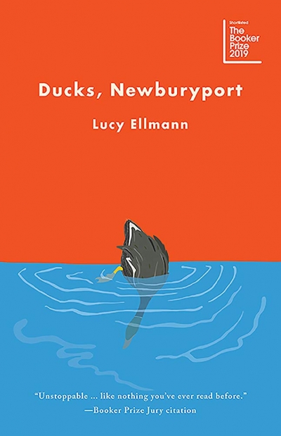 Shannon Burns reviews &#039;Ducks, Newburyport&#039; by Lucy Ellmann