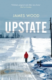 Brenda Niall reviews 'Upstate' by James Wood