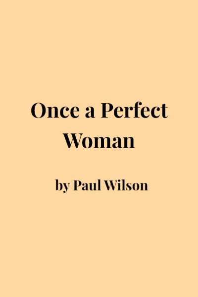 Vashti Farrer reviews &#039;Once a Perfect Woman&#039; by Paul Wilson
