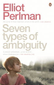 Peter Craven reviews 'Seven Types of Ambiguity' by Elliot Perlman