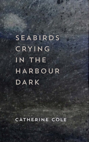 Rachael Mead reviews &#039;Seabirds Crying in the Harbour Dark&#039; by Catherine Cole