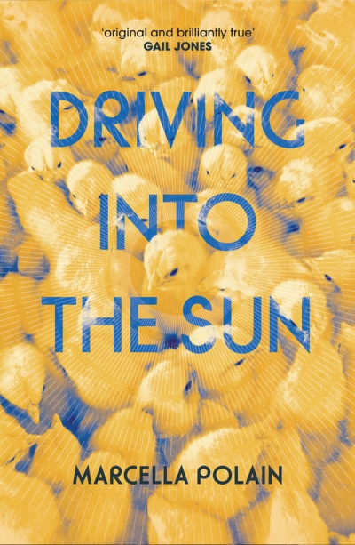 Stephen Dedman reviews &#039;Driving Into the Sun&#039; by Marcella Polain