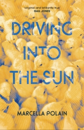 Stephen Dedman reviews 'Driving Into the Sun' by Marcella Polain