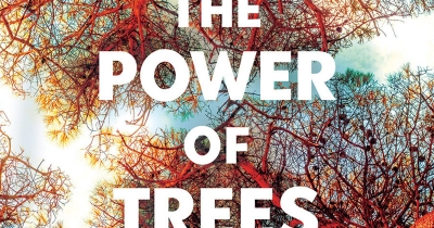 Ruby Ekkel reviews &#039;The Power of Trees: How ancient forests can save us if we let them&#039; by Peter Wohlleben, translated by Jane Billinghurst