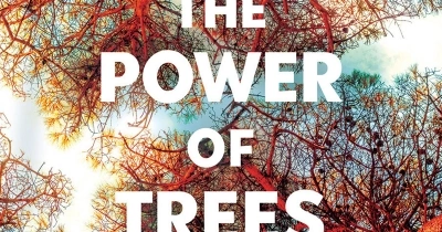 Ruby Ekkel reviews &#039;The Power of Trees: How ancient forests can save us if we let them&#039; by Peter Wohlleben, translated by Jane Billinghurst