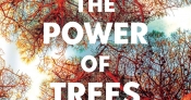 Ruby Ekkel reviews 'The Power of Trees: How ancient forests can save us if we let them' by Peter Wohlleben, translated by Jane Billinghurst