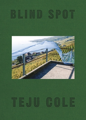 Louis Klee reviews &#039;Blind Spot&#039; by Teju Cole