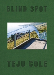 Louis Klee reviews 'Blind Spot' by Teju Cole