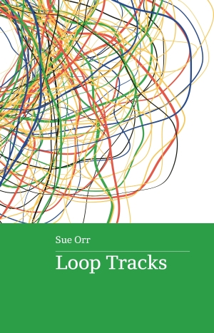Brigid Magner reviews &#039;Loop Tracks&#039; by Sue Orr