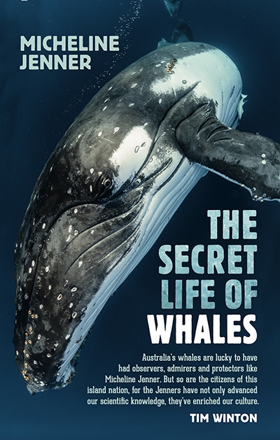 Rachael Mead reviews &#039;The Secret Life of Whales: A marine biologist’s revelations&#039; by Micheline Jenner