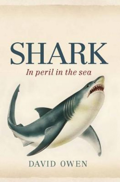 Kathleen Steele reviews &#039;Shark: In peril in the sea&#039; by David Owen