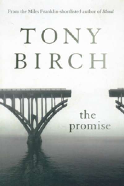 David Whish-Wilson reviews 'The Promise' by Tony Birch