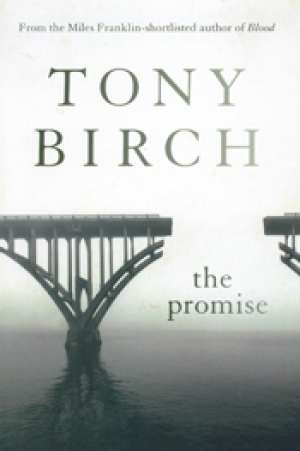 David Whish-Wilson reviews &#039;The Promise&#039; by Tony Birch