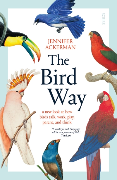 Simon Caterson reviews &#039;The Bird Way: A new look at how birds talk, work, play, parent, and think&#039; by Jennifer Ackerman
