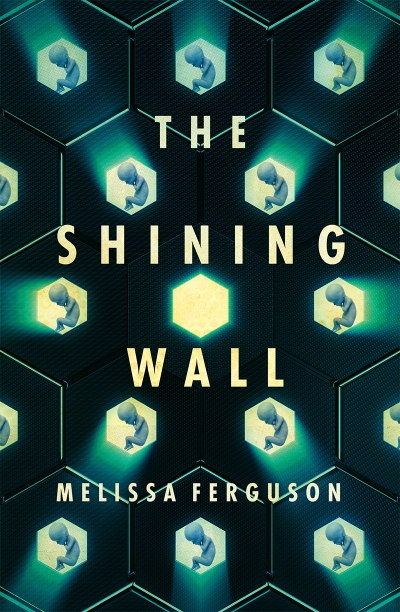 Jacinta Mulders reviews &#039;The Shining Wall&#039; by Melissa Ferguson