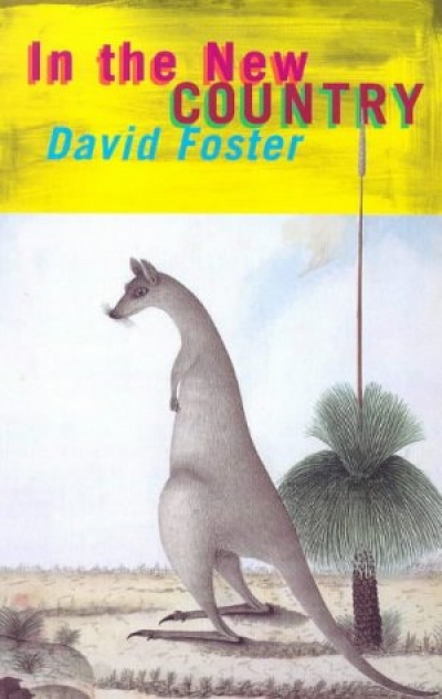Susan Lever reviews &#039;In the New Country&#039; and &#039;Studs and Nogs&#039; by David Foster