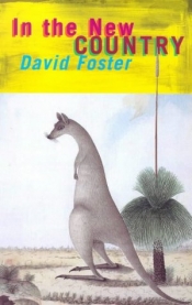 Susan Lever reviews 'In the New Country' and 'Studs and Nogs' by David Foster