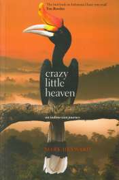 Jay Daniel Thompson reviews 'Crazy Little Heaven' by Mark Heyward