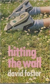 Mark Roberts reviews 'Hitting the Wall' by David Foster