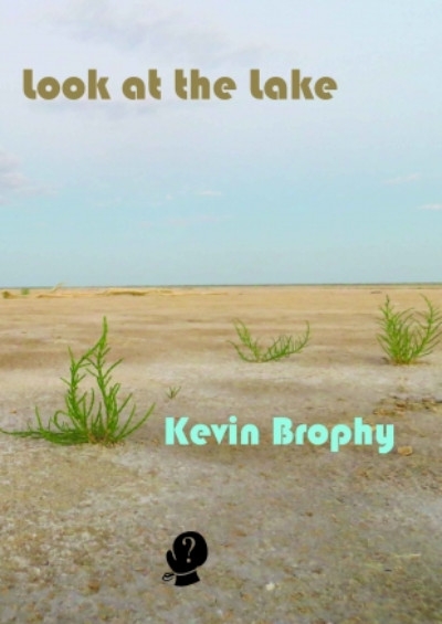 Joan Fleming reviews &#039;Look at the Lake&#039; by Kevin Brophy