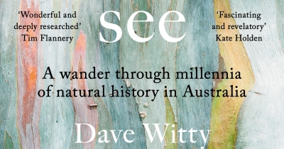 Ashley Hay reviews ‘What the Trees See: A wander through millennia of natural history in Australia’ by Dave Witty