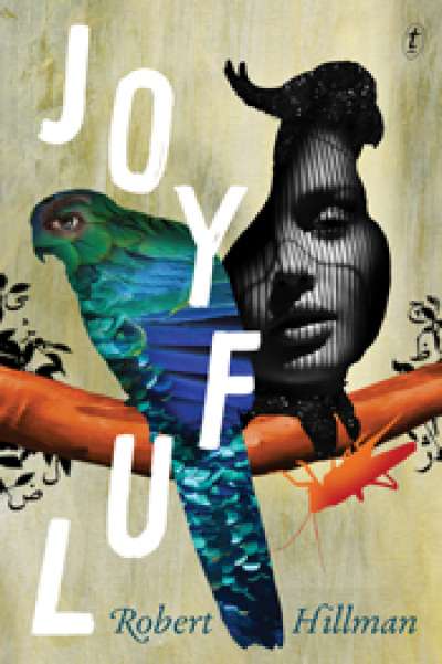 Kari Gislason reviews &#039;Joyful&#039; by Robert Hillman