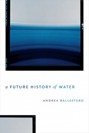 Timothy Neale reviews 'A Future History of Water' by Andrea Ballestero and 'Anthropogenic Rivers: The production of uncertainty in Lao hydropower' by Jerome Whitington