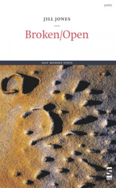 Gig Ryan reviews ‘Broken/Open’ by Jill Jones