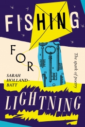 David McCooey reviews 'Fishing for Lightning: The spark of poetry' by Sarah Holland-Batt