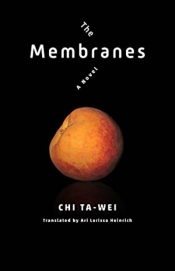 Josh Stenberg reviews ‘The Membranes: A novel’ by Chi Ta-wei, translated by Ari Larissa Heinrich
