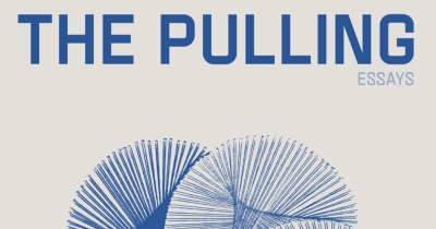 Anwen Crawford reviews ‘The Pulling: Essays’ by Adele Dumont