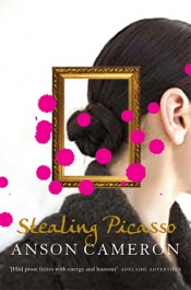 Tim Howard reviews 'Stealing Picasso' by Anson Cameron