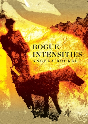 Rayne Allinson reviews &#039;Rogue Intensities&#039; by Angela Rockel