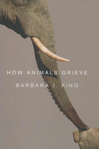 Rebecca Giggs reviews 'How Animals Grieve' by Barbara J. King