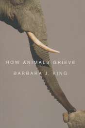 Rebecca Giggs reviews 'How Animals Grieve' by Barbara J. King