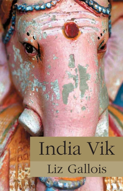 Kabita Dhara reviews 'India Vik' by Liz Gallois