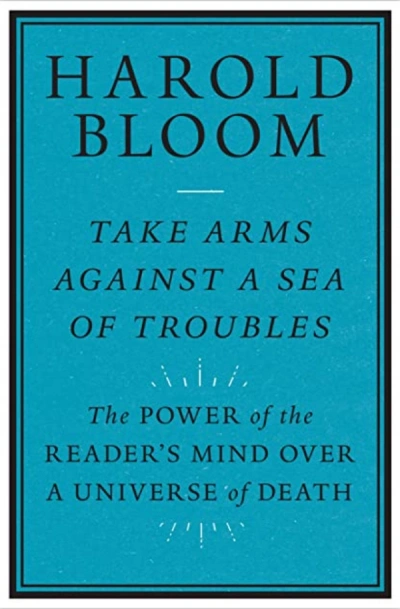James Ley reviews &#039;Take Arms Against a Sea of Troubles: The power of the reader’s mind over a universe of death&#039; by Harold Bloom