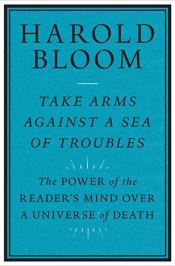 James Ley reviews 'Take Arms Against a Sea of Troubles: The power of the reader’s mind over a universe of death' by Harold Bloom
