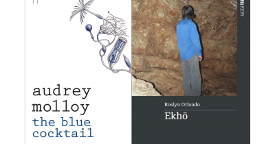 Sam Ryan reviews ‘The Blue Cocktail’ by Audrey Molloy and ‘Ekhō’ by Roslyn Orlando